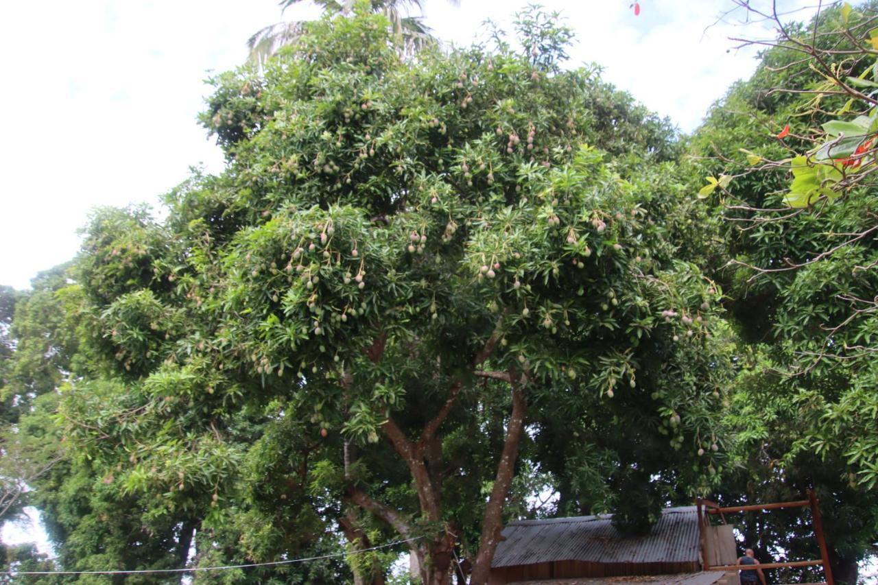 La Sirenita - Ometepe Altagracia Exterior foto