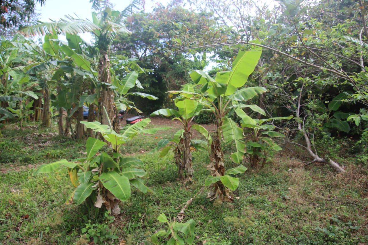 La Sirenita - Ometepe Altagracia Exterior foto