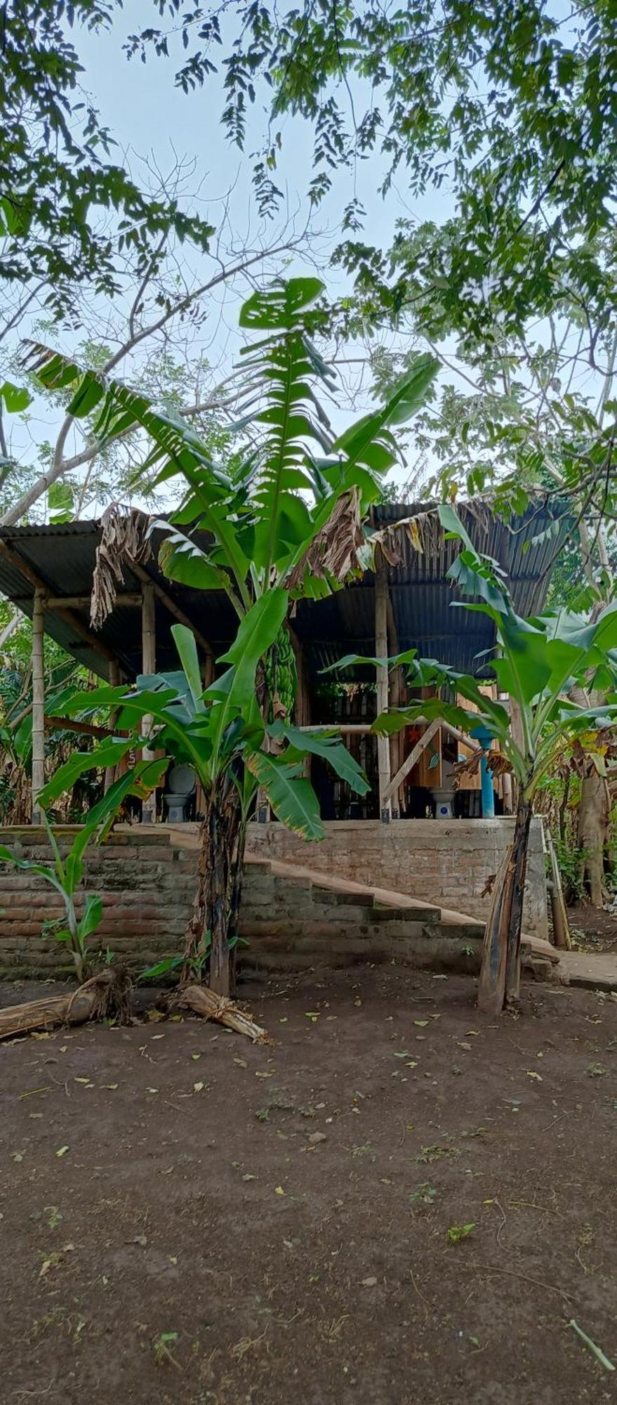 La Sirenita - Ometepe Altagracia Exterior foto